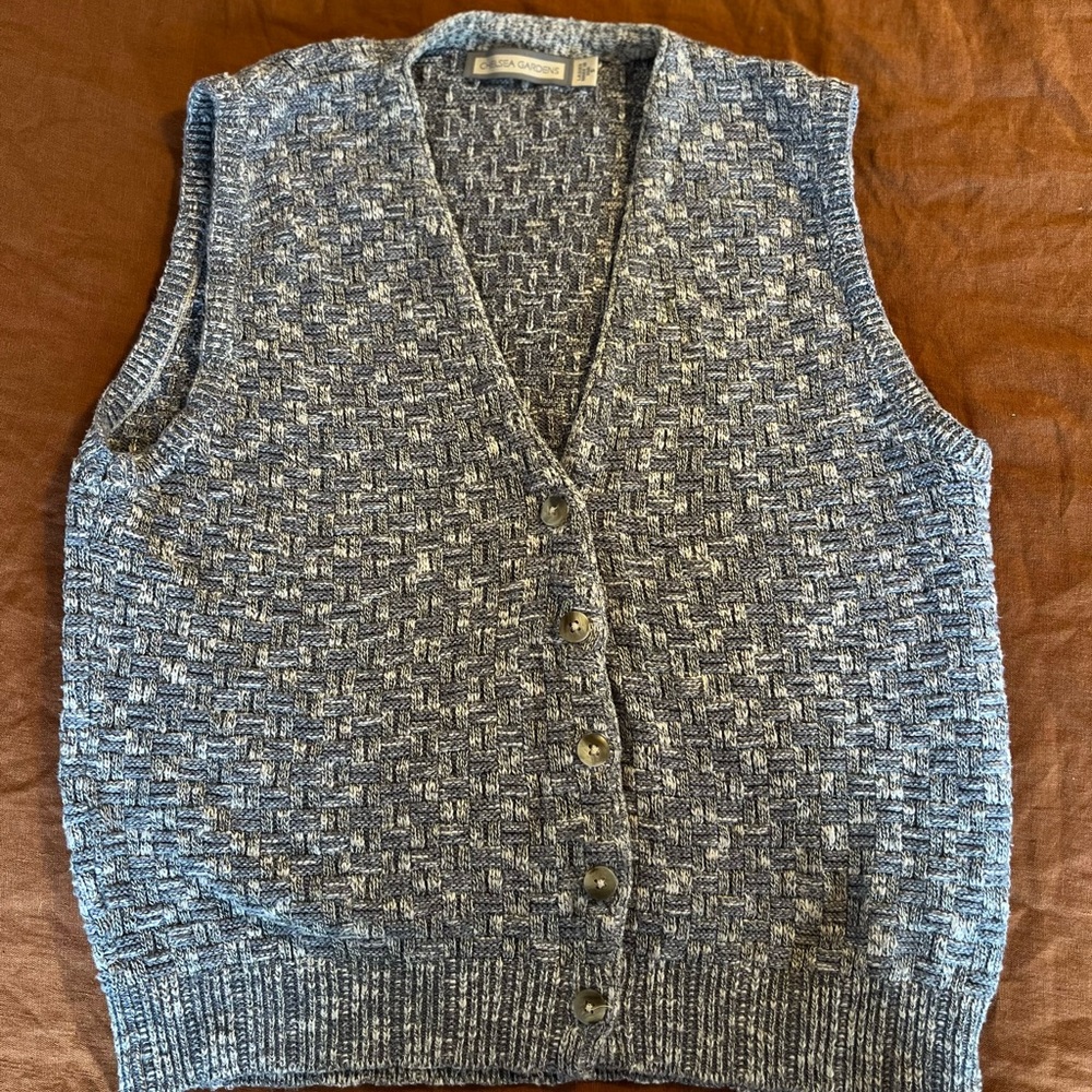 Cute Blue Sweater Vest